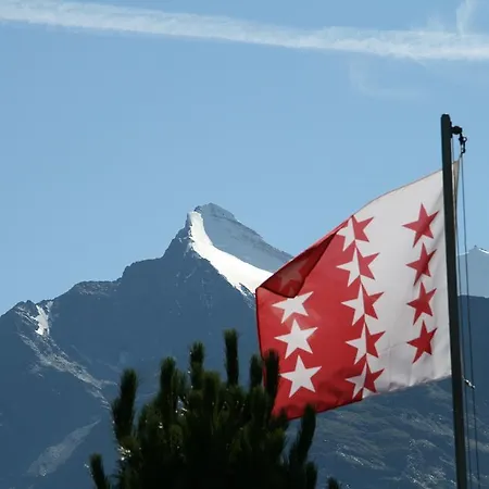 Appartments Montana Lejlighedshotel Grächen