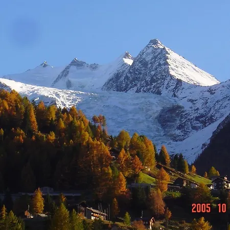 Appartments Montana Grächen