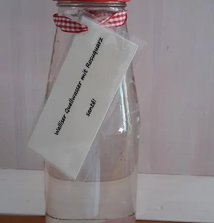 Apartmanhotel Appartments Montana Grächen