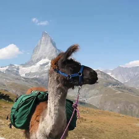 Apartmanhotel Appartments Montana